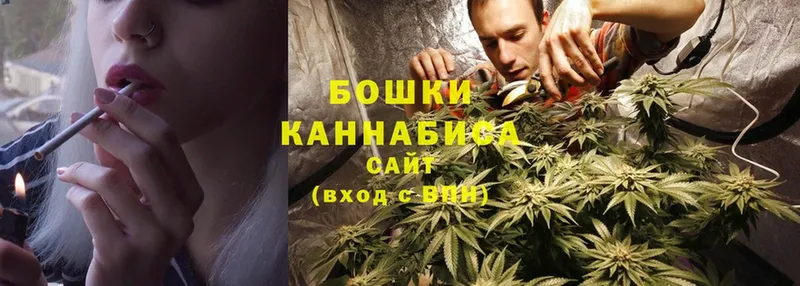 Шишки марихуана OG Kush  купить наркоту  Петропавловск-Камчатский 